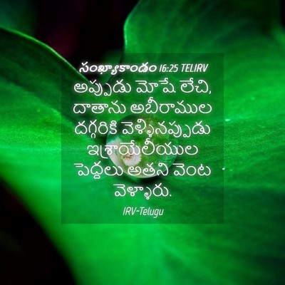 Picture 04 - సంఖ్యాకాండం 16:25 TELIRV - అప్పుడు మోషే లేచి, - Bible Verse Picture