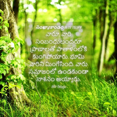 Picture 04 - సంఖ్యాకాండం 16:33 TELIRV - వారూ, వారి - Bible Verse Picture