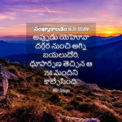 Picture 04 - సంఖ్యాకాండం 16:35 TELIRV - అప్పుడు యెహోవా - Bible Verse Picture