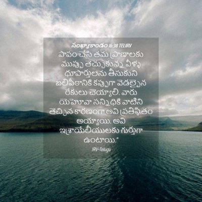 Picture 04 - సంఖ్యాకాండం 16:38 TELIRV - పాపం చేసి తమ - Bible Verse Picture