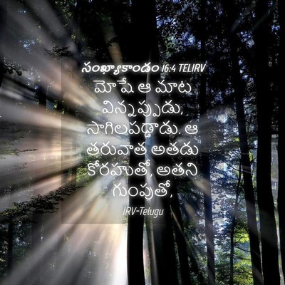 Picture 04 - సంఖ్యాకాండం 16:4 TELIRV - మోషే ఆ మాట - Bible Verse Picture