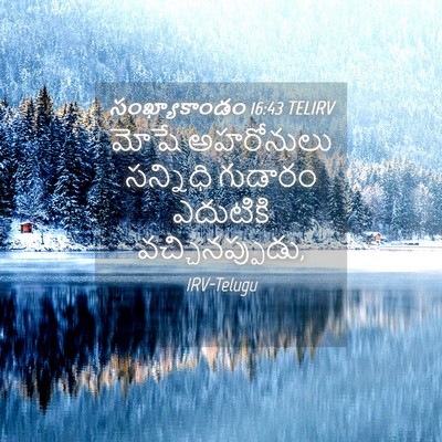 Picture 04 - సంఖ్యాకాండం 16:43 TELIRV - మోషే అహరోనులు - Bible Verse Picture