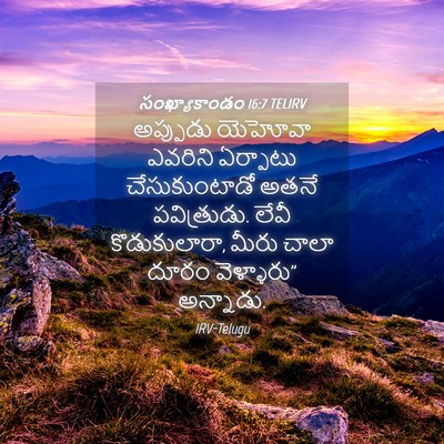 Picture 04 - సంఖ్యాకాండం 16:7 TELIRV - అప్పుడు యెహోవా - Bible Verse Picture