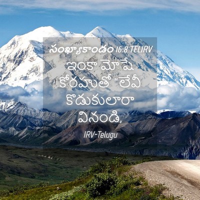 Picture 04 - సంఖ్యాకాండం 16:8 TELIRV - ఇంకా మోషే కోరహుతో - Bible Verse Picture