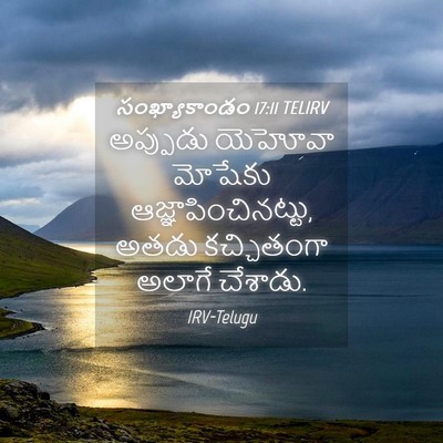 Picture 04 - సంఖ్యాకాండం 17:11 TELIRV - అప్పుడు యెహోవా - Bible Verse Picture