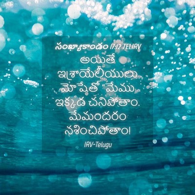 Picture 04 - సంఖ్యాకాండం 17:12 TELIRV - అయితే - Bible Verse Picture
