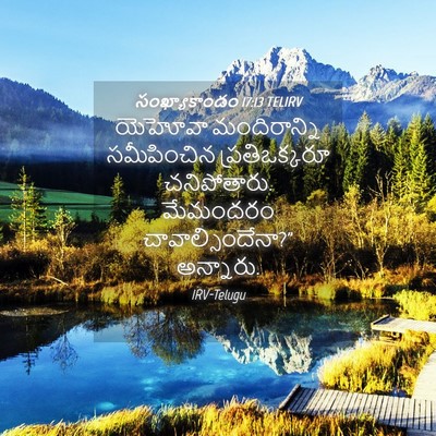 Picture 04 - సంఖ్యాకాండం 17:13 TELIRV - యెహోవా మందిరాన్ని - Bible Verse Picture