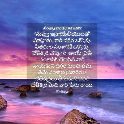 Picture 04 - సంఖ్యాకాండం 17:2 TELIRV - “నువ్వు - Bible Verse Picture