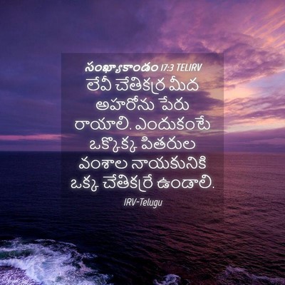 Picture 04 - సంఖ్యాకాండం 17:3 TELIRV - లేవీ చేతికర్ర మీద - Bible Verse Picture