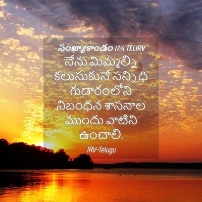 Picture 04 - సంఖ్యాకాండం 17:4 TELIRV - నేను మిమ్మల్ని - Bible Verse Picture