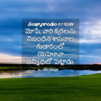 Picture 04 - సంఖ్యాకాండం 17:7 TELIRV - మోషే, వారి కర్రలను - Bible Verse Picture