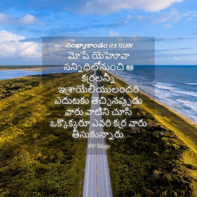 Picture 04 - సంఖ్యాకాండం 17:9 TELIRV - మోషే యెహోవా - Bible Verse Picture