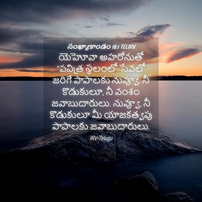 Picture 04 - సంఖ్యాకాండం 18:1 TELIRV - యెహోవా అహరోనుతో - Bible Verse Picture
