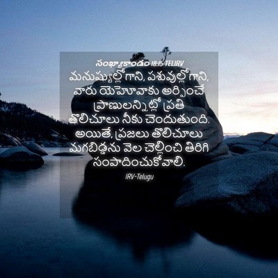 Picture 04 - సంఖ్యాకాండం 18:15 TELIRV - మనుష్యుల్లోగాని, - Bible Verse Picture