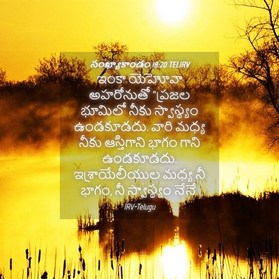 Picture 04 - సంఖ్యాకాండం 18:20 TELIRV - ఇంకా యెహోవా - Bible Verse Picture