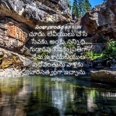 Picture 04 - సంఖ్యాకాండం 18:21 TELIRV - చూడు, లేవీయులు - Bible Verse Picture