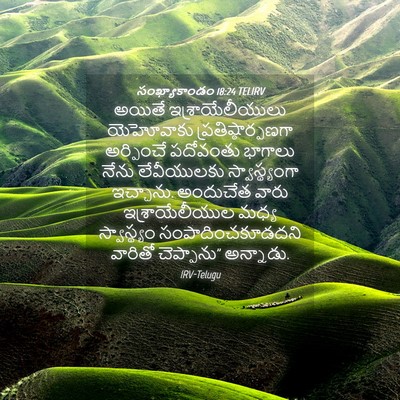 Picture 04 - సంఖ్యాకాండం 18:24 TELIRV - అయితే - Bible Verse Picture