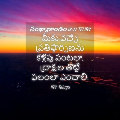Picture 04 - సంఖ్యాకాండం 18:27 TELIRV - మీకు వచ్చే - Bible Verse Picture