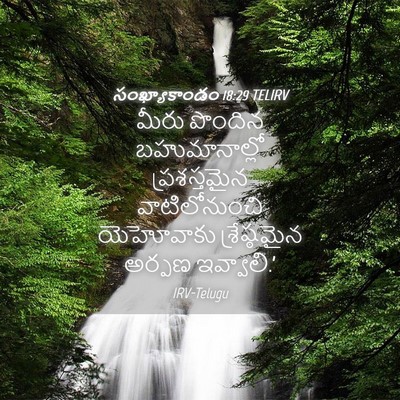 Picture 04 - సంఖ్యాకాండం 18:29 TELIRV - మీరు పొందిన - Bible Verse Picture