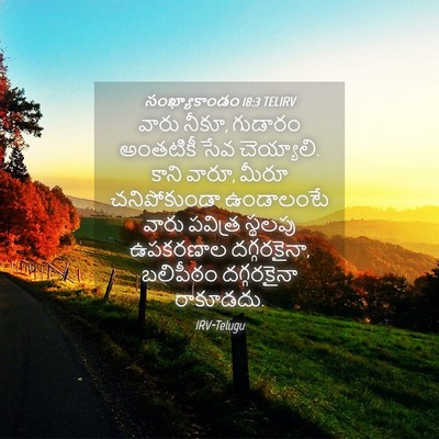 Picture 04 - సంఖ్యాకాండం 18:3 TELIRV - వారు నీకూ, గుడారం - Bible Verse Picture