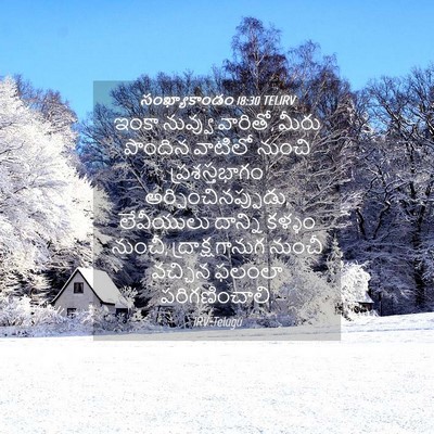 Picture 04 - సంఖ్యాకాండం 18:30 TELIRV - ఇంకా నువ్వు - Bible Verse Picture