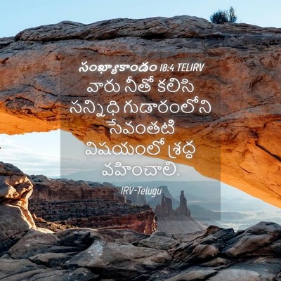 Picture 04 - సంఖ్యాకాండం 18:4 TELIRV - వారు నీతో కలిసి - Bible Verse Picture
