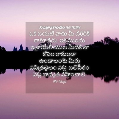 Picture 04 - సంఖ్యాకాండం 18:5 TELIRV - ఒక బయటి వాడు మీ - Bible Verse Picture