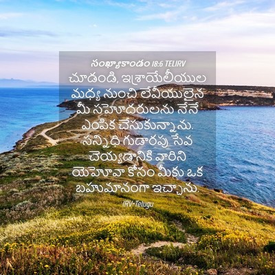 Picture 04 - సంఖ్యాకాండం 18:6 TELIRV - చూడండి, - Bible Verse Picture
