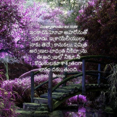 Picture 04 - సంఖ్యాకాండం 18:8 TELIRV - ఇంకా యెహోవా - Bible Verse Picture
