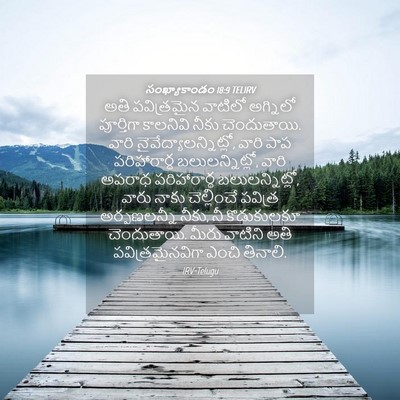 Picture 04 - సంఖ్యాకాండం 18:9 TELIRV - అతి పవిత్రమైన - Bible Verse Picture