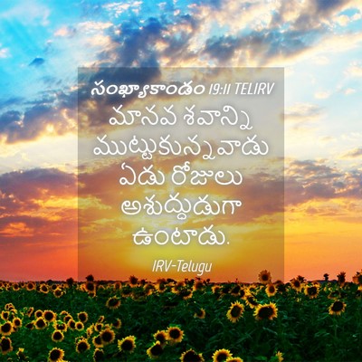 Picture 04 - సంఖ్యాకాండం 19:11 TELIRV - మానవ శవాన్ని - Bible Verse Picture