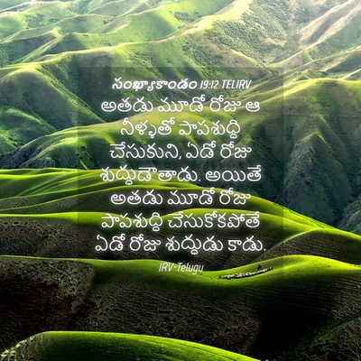 Picture 04 - సంఖ్యాకాండం 19:12 TELIRV - అతడు మూడో రోజు ఆ - Bible Verse Picture