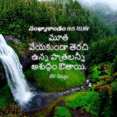Picture 04 - సంఖ్యాకాండం 19:15 TELIRV - మూత వేయకుండా - Bible Verse Picture
