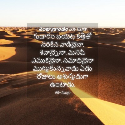 Picture 04 - సంఖ్యాకాండం 19:16 TELIRV - గుడారం బయట - Bible Verse Picture