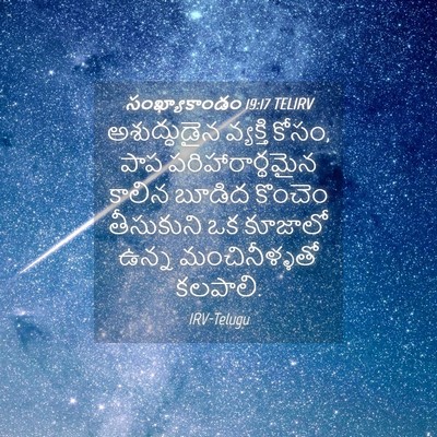 Picture 04 - సంఖ్యాకాండం 19:17 TELIRV - అశుద్ధుడైన - Bible Verse Picture