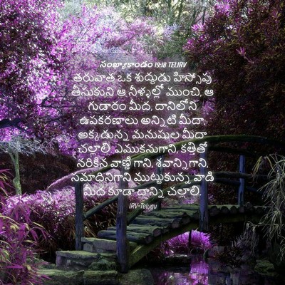 Picture 04 - సంఖ్యాకాండం 19:18 TELIRV - తరువాత ఒక - Bible Verse Picture