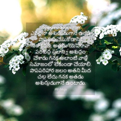 Picture 04 - సంఖ్యాకాండం 19:20 TELIRV - ఎవరైనా - Bible Verse Picture