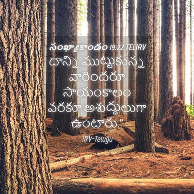 Picture 04 - సంఖ్యాకాండం 19:22 TELIRV - దాన్ని - Bible Verse Picture