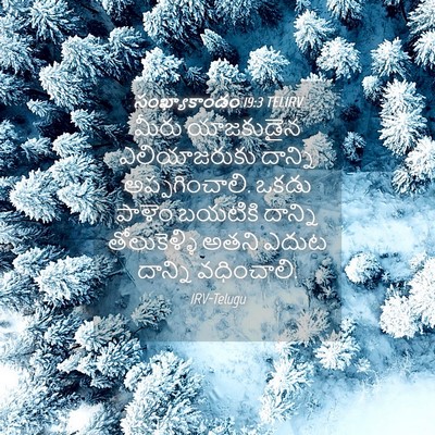 Picture 04 - సంఖ్యాకాండం 19:3 TELIRV - మీరు యాజకుడైన - Bible Verse Picture