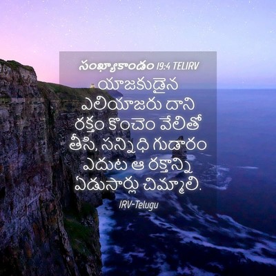 Picture 04 - సంఖ్యాకాండం 19:4 TELIRV - యాజకుడైన ఎలియాజరు - Bible Verse Picture