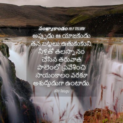 Picture 04 - సంఖ్యాకాండం 19:7 TELIRV - అప్పుడు ఆ యాజకుడు - Bible Verse Picture