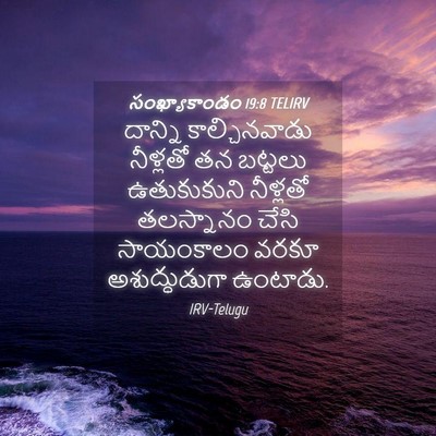 Picture 04 - సంఖ్యాకాండం 19:8 TELIRV - దాన్ని - Bible Verse Picture