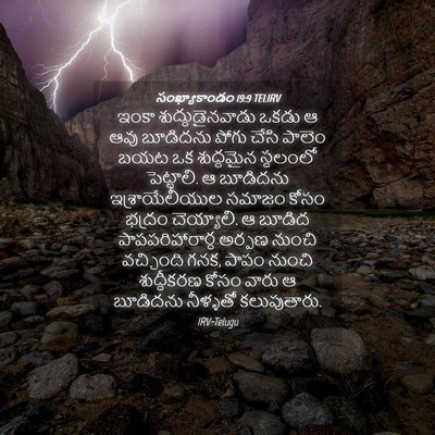 Picture 04 - సంఖ్యాకాండం 19:9 TELIRV - ఇంకా - Bible Verse Picture