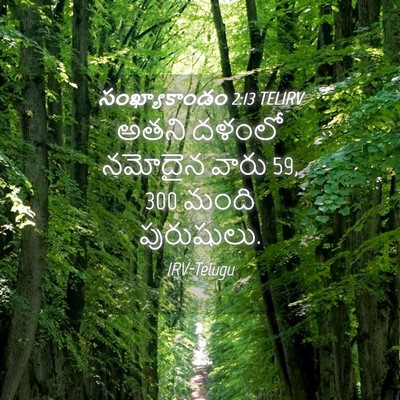 Picture 04 - సంఖ్యాకాండం 2:13 TELIRV - అతని దళంలో నమోదైన - Bible Verse Picture