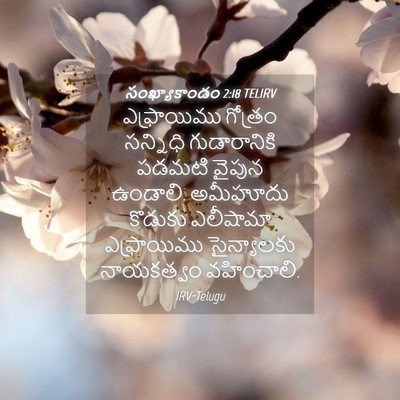 Picture 04 - సంఖ్యాకాండం 2:18 TELIRV - ఎఫ్రాయిము గోత్రం - Bible Verse Picture