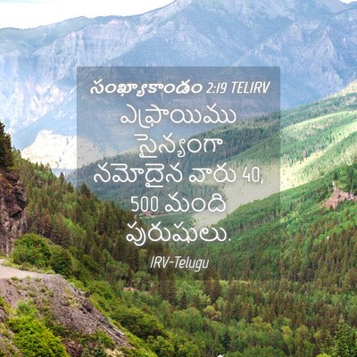Picture 04 - సంఖ్యాకాండం 2:19 TELIRV - ఎఫ్రాయిము - Bible Verse Picture