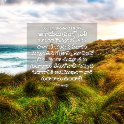 Picture 04 - సంఖ్యాకాండం 2:2 TELIRV - “ఇశ్రాయేలు - Bible Verse Picture