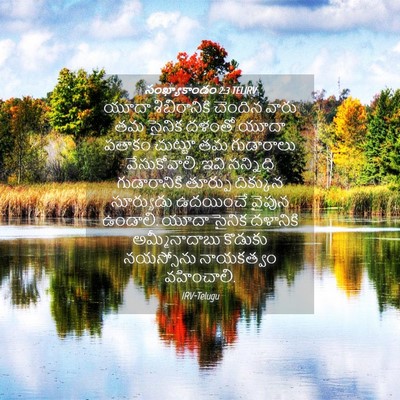 Picture 04 - సంఖ్యాకాండం 2:3 TELIRV - యూదా శిబిరానికి - Bible Verse Picture