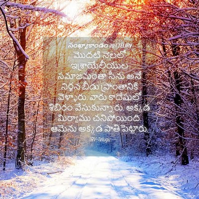Picture 04 - సంఖ్యాకాండం 20:1 TELIRV - మొదటి నెలలో - Bible Verse Picture