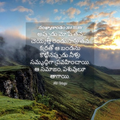Picture 04 - సంఖ్యాకాండం 20:11 TELIRV - అప్పుడు మోషే తన - Bible Verse Picture